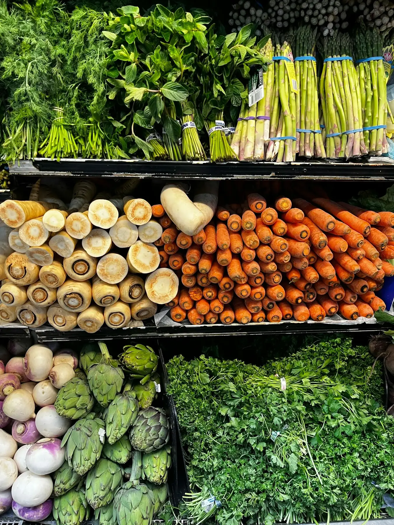 Fresh vegetables arranged for grocery timing and meal planning